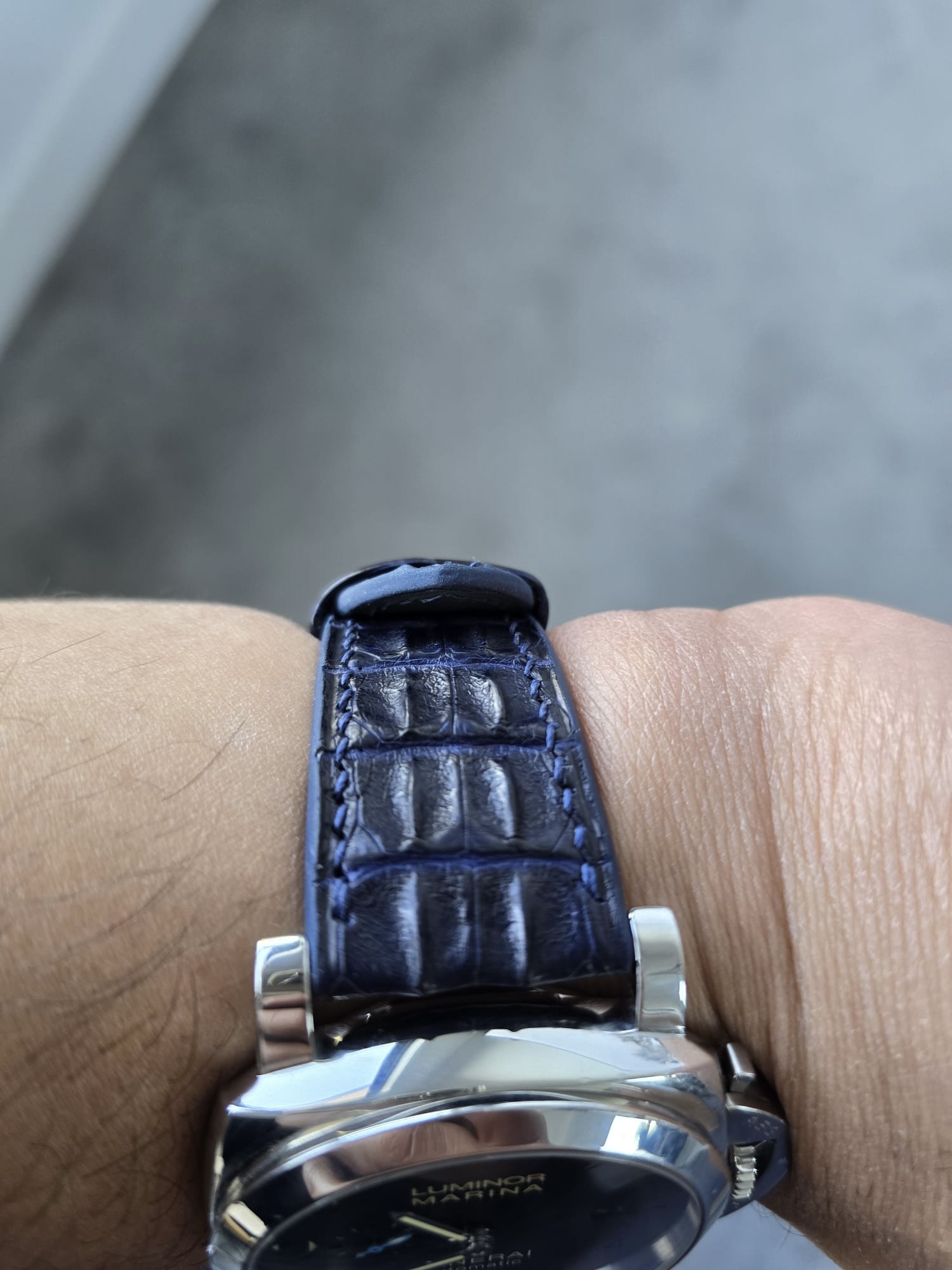 Dark Navy Alligator Panerai Strap (Double Hornback)2